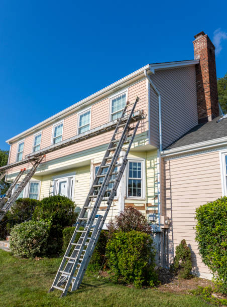 Best Siding Painting and Refinishing  in Inesville, GA