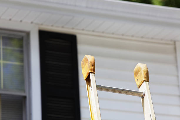 Best Residential Vinyl Siding Installation  in Inesville, GA